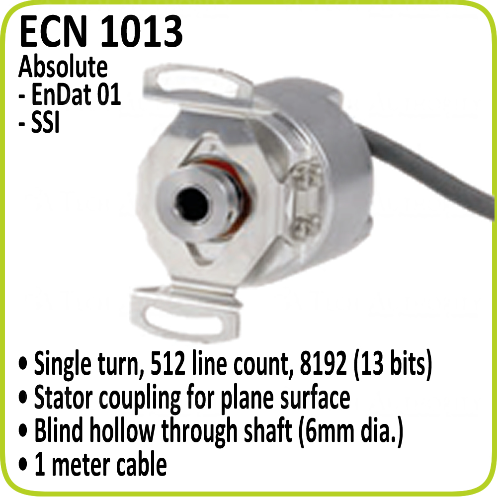 ECN 1013