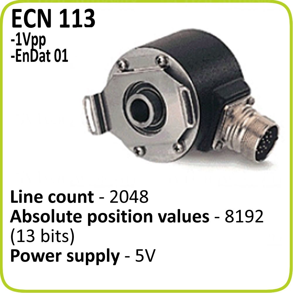 ECN 113