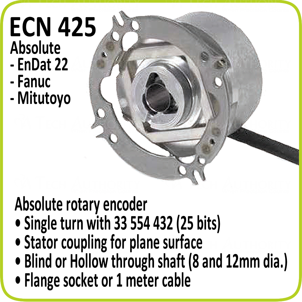 ECN 425